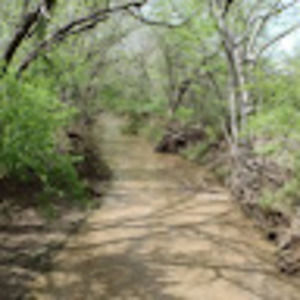 Meet your Posher, Angel